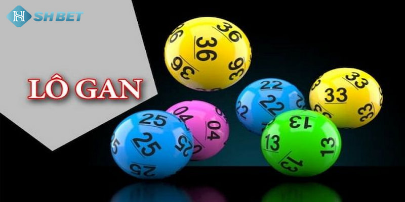 Banner www.vnptbaoloc.com