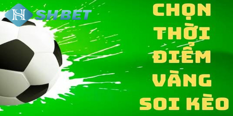 Banner www.vnptbaoloc.com