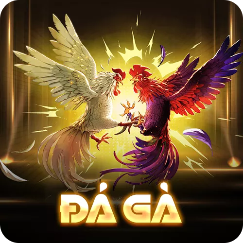 Banner www.vnptbaoloc.com