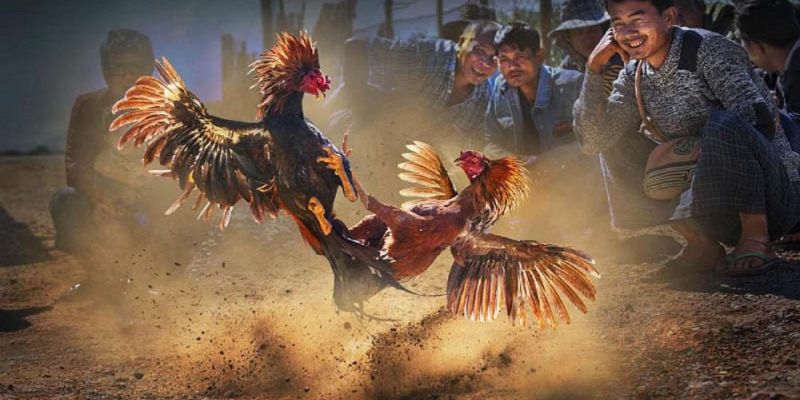 Banner www.vnptbaoloc.com