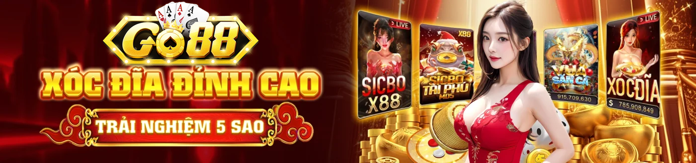 Banner www.vnptbaoloc.com