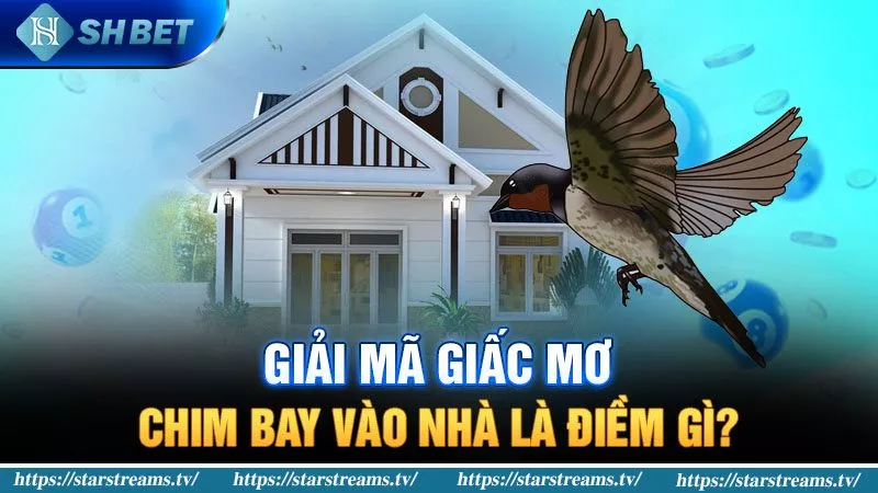 Banner www.vnptbaoloc.com