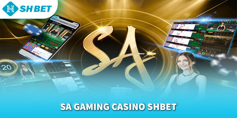 Banner www.vnptbaoloc.com