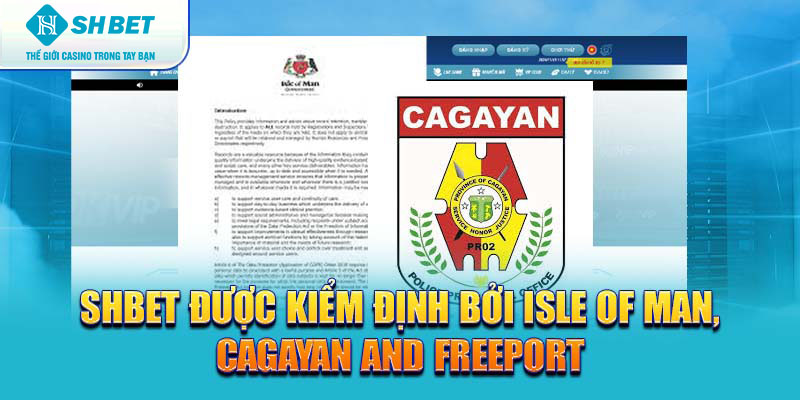 Banner www.vnptbaoloc.com