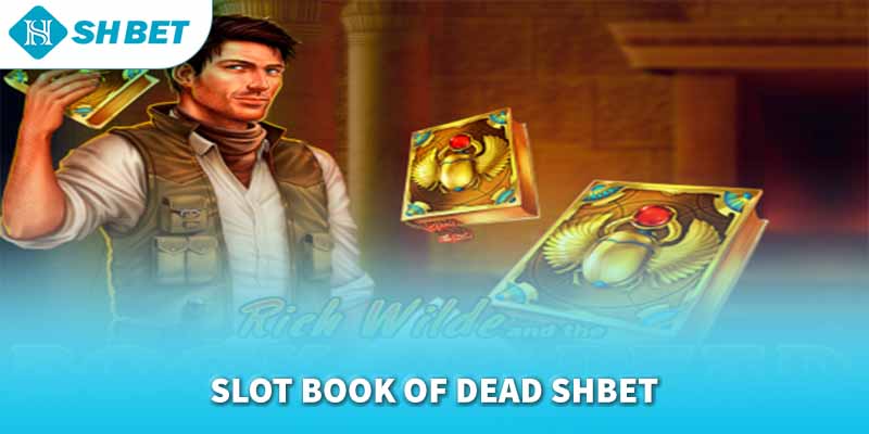 Banner www.vnptbaoloc.com