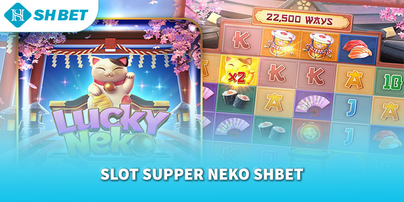 Banner www.vnptbaoloc.com