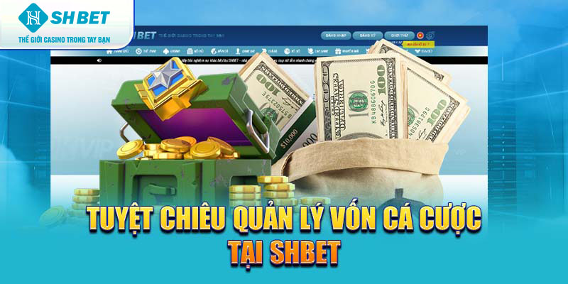 Banner www.vnptbaoloc.com